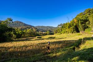 BIB: 
                            <button type="button" onclick="openModal(19376898)" class="btn btn-primary btn-sm float-right btn-popup" data-toggle="modal" data-target=".modal-high-quality">
                        <i class="fas fa-shopping-cart"></i> Add to Cart
                    </button>
                                            <button type="button" onclick="isThisMe(19376898, true)" class="btn btn-success btn-sm float-right btn-popup btn-isme hidden" data-toggle="tooltip" data-placement="bottom" title="นี่คือรูปของคุณใช่ไหม คลิกที่นี่เพื่อเอาเข้าอัลบั้ม">
                        <i class="fas fa-plus"></i> Add to album
                    </button>
                    <button type="button" onclick="isThisMe(19376898, false)" class="btn btn-warning btn-sm float-right btn-popup btn-isnotme hidden">
                        <i class="fas fa-ban"></i> Remove from album
                    </button>