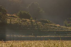 BIB: 
                            <button type="button" onclick="openModal(19376192)" class="btn btn-primary btn-sm float-right btn-popup" data-toggle="modal" data-target=".modal-high-quality">
                        <i class="fas fa-shopping-cart"></i> Add to Cart
                    </button>
                                            <button type="button" onclick="isThisMe(19376192, true)" class="btn btn-success btn-sm float-right btn-popup btn-isme hidden" data-toggle="tooltip" data-placement="bottom" title="นี่คือรูปของคุณใช่ไหม คลิกที่นี่เพื่อเอาเข้าอัลบั้ม">
                        <i class="fas fa-plus"></i> Add to album
                    </button>
                    <button type="button" onclick="isThisMe(19376192, false)" class="btn btn-warning btn-sm float-right btn-popup btn-isnotme hidden">
                        <i class="fas fa-ban"></i> Remove from album
                    </button>