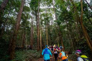 BIB: 
                            <button type="button" onclick="openModal(19376834)" class="btn btn-primary btn-sm float-right btn-popup" data-toggle="modal" data-target=".modal-high-quality">
                        <i class="fas fa-shopping-cart"></i> Add to Cart
                    </button>
                                            <button type="button" onclick="isThisMe(19376834, true)" class="btn btn-success btn-sm float-right btn-popup btn-isme hidden" data-toggle="tooltip" data-placement="bottom" title="นี่คือรูปของคุณใช่ไหม คลิกที่นี่เพื่อเอาเข้าอัลบั้ม">
                        <i class="fas fa-plus"></i> Add to album
                    </button>
                    <button type="button" onclick="isThisMe(19376834, false)" class="btn btn-warning btn-sm float-right btn-popup btn-isnotme hidden">
                        <i class="fas fa-ban"></i> Remove from album
                    </button>