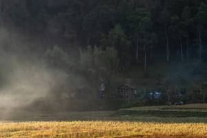 BIB: 
                            <button type="button" onclick="openModal(19376207)" class="btn btn-primary btn-sm float-right btn-popup" data-toggle="modal" data-target=".modal-high-quality">
                        <i class="fas fa-shopping-cart"></i> Add to Cart
                    </button>
                                            <button type="button" onclick="isThisMe(19376207, true)" class="btn btn-success btn-sm float-right btn-popup btn-isme hidden" data-toggle="tooltip" data-placement="bottom" title="นี่คือรูปของคุณใช่ไหม คลิกที่นี่เพื่อเอาเข้าอัลบั้ม">
                        <i class="fas fa-plus"></i> Add to album
                    </button>
                    <button type="button" onclick="isThisMe(19376207, false)" class="btn btn-warning btn-sm float-right btn-popup btn-isnotme hidden">
                        <i class="fas fa-ban"></i> Remove from album
                    </button>