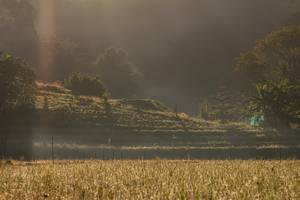 BIB: 
                            <button type="button" onclick="openModal(19376190)" class="btn btn-primary btn-sm float-right btn-popup" data-toggle="modal" data-target=".modal-high-quality">
                        <i class="fas fa-shopping-cart"></i> Add to Cart
                    </button>
                                            <button type="button" onclick="isThisMe(19376190, true)" class="btn btn-success btn-sm float-right btn-popup btn-isme hidden" data-toggle="tooltip" data-placement="bottom" title="นี่คือรูปของคุณใช่ไหม คลิกที่นี่เพื่อเอาเข้าอัลบั้ม">
                        <i class="fas fa-plus"></i> Add to album
                    </button>
                    <button type="button" onclick="isThisMe(19376190, false)" class="btn btn-warning btn-sm float-right btn-popup btn-isnotme hidden">
                        <i class="fas fa-ban"></i> Remove from album
                    </button>