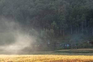 BIB: 
                            <button type="button" onclick="openModal(19376209)" class="btn btn-primary btn-sm float-right btn-popup" data-toggle="modal" data-target=".modal-high-quality">
                        <i class="fas fa-shopping-cart"></i> Add to Cart
                    </button>
                                            <button type="button" onclick="isThisMe(19376209, true)" class="btn btn-success btn-sm float-right btn-popup btn-isme hidden" data-toggle="tooltip" data-placement="bottom" title="นี่คือรูปของคุณใช่ไหม คลิกที่นี่เพื่อเอาเข้าอัลบั้ม">
                        <i class="fas fa-plus"></i> Add to album
                    </button>
                    <button type="button" onclick="isThisMe(19376209, false)" class="btn btn-warning btn-sm float-right btn-popup btn-isnotme hidden">
                        <i class="fas fa-ban"></i> Remove from album
                    </button>