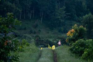 BIB: 
                            <button type="button" onclick="openModal(19376129)" class="btn btn-primary btn-sm float-right btn-popup" data-toggle="modal" data-target=".modal-high-quality">
                        <i class="fas fa-shopping-cart"></i> Add to Cart
                    </button>
                                            <button type="button" onclick="isThisMe(19376129, true)" class="btn btn-success btn-sm float-right btn-popup btn-isme hidden" data-toggle="tooltip" data-placement="bottom" title="นี่คือรูปของคุณใช่ไหม คลิกที่นี่เพื่อเอาเข้าอัลบั้ม">
                        <i class="fas fa-plus"></i> Add to album
                    </button>
                    <button type="button" onclick="isThisMe(19376129, false)" class="btn btn-warning btn-sm float-right btn-popup btn-isnotme hidden">
                        <i class="fas fa-ban"></i> Remove from album
                    </button>