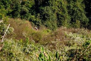 BIB: 
                            <button type="button" onclick="openModal(19376340)" class="btn btn-primary btn-sm float-right btn-popup" data-toggle="modal" data-target=".modal-high-quality">
                        <i class="fas fa-shopping-cart"></i> Add to Cart
                    </button>
                                            <button type="button" onclick="isThisMe(19376340, true)" class="btn btn-success btn-sm float-right btn-popup btn-isme hidden" data-toggle="tooltip" data-placement="bottom" title="นี่คือรูปของคุณใช่ไหม คลิกที่นี่เพื่อเอาเข้าอัลบั้ม">
                        <i class="fas fa-plus"></i> Add to album
                    </button>
                    <button type="button" onclick="isThisMe(19376340, false)" class="btn btn-warning btn-sm float-right btn-popup btn-isnotme hidden">
                        <i class="fas fa-ban"></i> Remove from album
                    </button>