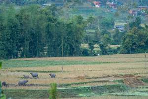 BIB: 
                            <button type="button" onclick="openModal(19376123)" class="btn btn-primary btn-sm float-right btn-popup" data-toggle="modal" data-target=".modal-high-quality">
                        <i class="fas fa-shopping-cart"></i> Add to Cart
                    </button>
                                            <button type="button" onclick="isThisMe(19376123, true)" class="btn btn-success btn-sm float-right btn-popup btn-isme hidden" data-toggle="tooltip" data-placement="bottom" title="นี่คือรูปของคุณใช่ไหม คลิกที่นี่เพื่อเอาเข้าอัลบั้ม">
                        <i class="fas fa-plus"></i> Add to album
                    </button>
                    <button type="button" onclick="isThisMe(19376123, false)" class="btn btn-warning btn-sm float-right btn-popup btn-isnotme hidden">
                        <i class="fas fa-ban"></i> Remove from album
                    </button>