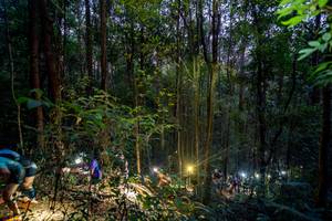 BIB: 
                            <button type="button" onclick="openModal(19376818)" class="btn btn-primary btn-sm float-right btn-popup" data-toggle="modal" data-target=".modal-high-quality">
                        <i class="fas fa-shopping-cart"></i> Add to Cart
                    </button>
                                            <button type="button" onclick="isThisMe(19376818, true)" class="btn btn-success btn-sm float-right btn-popup btn-isme hidden" data-toggle="tooltip" data-placement="bottom" title="นี่คือรูปของคุณใช่ไหม คลิกที่นี่เพื่อเอาเข้าอัลบั้ม">
                        <i class="fas fa-plus"></i> Add to album
                    </button>
                    <button type="button" onclick="isThisMe(19376818, false)" class="btn btn-warning btn-sm float-right btn-popup btn-isnotme hidden">
                        <i class="fas fa-ban"></i> Remove from album
                    </button>