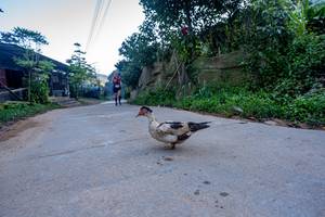 BIB: 
                            <button type="button" onclick="openModal(19376957)" class="btn btn-primary btn-sm float-right btn-popup" data-toggle="modal" data-target=".modal-high-quality">
                        <i class="fas fa-shopping-cart"></i> Add to Cart
                    </button>
                                            <button type="button" onclick="isThisMe(19376957, true)" class="btn btn-success btn-sm float-right btn-popup btn-isme hidden" data-toggle="tooltip" data-placement="bottom" title="นี่คือรูปของคุณใช่ไหม คลิกที่นี่เพื่อเอาเข้าอัลบั้ม">
                        <i class="fas fa-plus"></i> Add to album
                    </button>
                    <button type="button" onclick="isThisMe(19376957, false)" class="btn btn-warning btn-sm float-right btn-popup btn-isnotme hidden">
                        <i class="fas fa-ban"></i> Remove from album
                    </button>