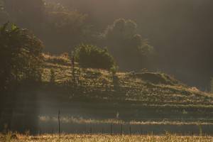 BIB: 
                            <button type="button" onclick="openModal(19376200)" class="btn btn-primary btn-sm float-right btn-popup" data-toggle="modal" data-target=".modal-high-quality">
                        <i class="fas fa-shopping-cart"></i> Add to Cart
                    </button>
                                            <button type="button" onclick="isThisMe(19376200, true)" class="btn btn-success btn-sm float-right btn-popup btn-isme hidden" data-toggle="tooltip" data-placement="bottom" title="นี่คือรูปของคุณใช่ไหม คลิกที่นี่เพื่อเอาเข้าอัลบั้ม">
                        <i class="fas fa-plus"></i> Add to album
                    </button>
                    <button type="button" onclick="isThisMe(19376200, false)" class="btn btn-warning btn-sm float-right btn-popup btn-isnotme hidden">
                        <i class="fas fa-ban"></i> Remove from album
                    </button>