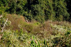 BIB: 
                            <button type="button" onclick="openModal(19376343)" class="btn btn-primary btn-sm float-right btn-popup" data-toggle="modal" data-target=".modal-high-quality">
                        <i class="fas fa-shopping-cart"></i> Add to Cart
                    </button>
                                            <button type="button" onclick="isThisMe(19376343, true)" class="btn btn-success btn-sm float-right btn-popup btn-isme hidden" data-toggle="tooltip" data-placement="bottom" title="นี่คือรูปของคุณใช่ไหม คลิกที่นี่เพื่อเอาเข้าอัลบั้ม">
                        <i class="fas fa-plus"></i> Add to album
                    </button>
                    <button type="button" onclick="isThisMe(19376343, false)" class="btn btn-warning btn-sm float-right btn-popup btn-isnotme hidden">
                        <i class="fas fa-ban"></i> Remove from album
                    </button>