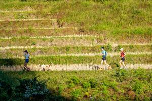 BIB: 
                            <button type="button" onclick="openModal(19376351)" class="btn btn-primary btn-sm float-right btn-popup" data-toggle="modal" data-target=".modal-high-quality">
                        <i class="fas fa-shopping-cart"></i> Add to Cart
                    </button>
                                            <button type="button" onclick="isThisMe(19376351, true)" class="btn btn-success btn-sm float-right btn-popup btn-isme hidden" data-toggle="tooltip" data-placement="bottom" title="นี่คือรูปของคุณใช่ไหม คลิกที่นี่เพื่อเอาเข้าอัลบั้ม">
                        <i class="fas fa-plus"></i> Add to album
                    </button>
                    <button type="button" onclick="isThisMe(19376351, false)" class="btn btn-warning btn-sm float-right btn-popup btn-isnotme hidden">
                        <i class="fas fa-ban"></i> Remove from album
                    </button>