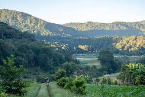 BIB: 
                            <button type="button" onclick="openModal(19376124)" class="btn btn-primary btn-sm float-right btn-popup" data-toggle="modal" data-target=".modal-high-quality">
                        <i class="fas fa-shopping-cart"></i> Add to Cart
                    </button>
                                            <button type="button" onclick="isThisMe(19376124, true)" class="btn btn-success btn-sm float-right btn-popup btn-isme hidden" data-toggle="tooltip" data-placement="bottom" title="นี่คือรูปของคุณใช่ไหม คลิกที่นี่เพื่อเอาเข้าอัลบั้ม">
                        <i class="fas fa-plus"></i> Add to album
                    </button>
                    <button type="button" onclick="isThisMe(19376124, false)" class="btn btn-warning btn-sm float-right btn-popup btn-isnotme hidden">
                        <i class="fas fa-ban"></i> Remove from album
                    </button>