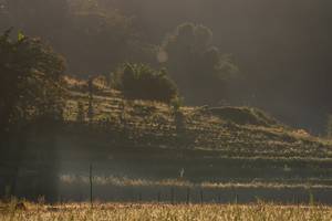 BIB: 
                            <button type="button" onclick="openModal(19376201)" class="btn btn-primary btn-sm float-right btn-popup" data-toggle="modal" data-target=".modal-high-quality">
                        <i class="fas fa-shopping-cart"></i> Add to Cart
                    </button>
                                            <button type="button" onclick="isThisMe(19376201, true)" class="btn btn-success btn-sm float-right btn-popup btn-isme hidden" data-toggle="tooltip" data-placement="bottom" title="นี่คือรูปของคุณใช่ไหม คลิกที่นี่เพื่อเอาเข้าอัลบั้ม">
                        <i class="fas fa-plus"></i> Add to album
                    </button>
                    <button type="button" onclick="isThisMe(19376201, false)" class="btn btn-warning btn-sm float-right btn-popup btn-isnotme hidden">
                        <i class="fas fa-ban"></i> Remove from album
                    </button>