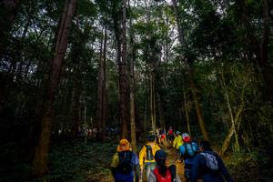 BIB: 
                            <button type="button" onclick="openModal(19376826)" class="btn btn-primary btn-sm float-right btn-popup" data-toggle="modal" data-target=".modal-high-quality">
                        <i class="fas fa-shopping-cart"></i> Add to Cart
                    </button>
                                            <button type="button" onclick="isThisMe(19376826, true)" class="btn btn-success btn-sm float-right btn-popup btn-isme hidden" data-toggle="tooltip" data-placement="bottom" title="นี่คือรูปของคุณใช่ไหม คลิกที่นี่เพื่อเอาเข้าอัลบั้ม">
                        <i class="fas fa-plus"></i> Add to album
                    </button>
                    <button type="button" onclick="isThisMe(19376826, false)" class="btn btn-warning btn-sm float-right btn-popup btn-isnotme hidden">
                        <i class="fas fa-ban"></i> Remove from album
                    </button>