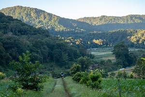 BIB: 
                            <button type="button" onclick="openModal(19376127)" class="btn btn-primary btn-sm float-right btn-popup" data-toggle="modal" data-target=".modal-high-quality">
                        <i class="fas fa-shopping-cart"></i> Add to Cart
                    </button>
                                            <button type="button" onclick="isThisMe(19376127, true)" class="btn btn-success btn-sm float-right btn-popup btn-isme hidden" data-toggle="tooltip" data-placement="bottom" title="นี่คือรูปของคุณใช่ไหม คลิกที่นี่เพื่อเอาเข้าอัลบั้ม">
                        <i class="fas fa-plus"></i> Add to album
                    </button>
                    <button type="button" onclick="isThisMe(19376127, false)" class="btn btn-warning btn-sm float-right btn-popup btn-isnotme hidden">
                        <i class="fas fa-ban"></i> Remove from album
                    </button>