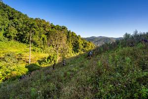 BIB: 
                            <button type="button" onclick="openModal(19377080)" class="btn btn-primary btn-sm float-right btn-popup" data-toggle="modal" data-target=".modal-high-quality">
                        <i class="fas fa-shopping-cart"></i> Add to Cart
                    </button>
                                            <button type="button" onclick="isThisMe(19377080, true)" class="btn btn-success btn-sm float-right btn-popup btn-isme hidden" data-toggle="tooltip" data-placement="bottom" title="นี่คือรูปของคุณใช่ไหม คลิกที่นี่เพื่อเอาเข้าอัลบั้ม">
                        <i class="fas fa-plus"></i> Add to album
                    </button>
                    <button type="button" onclick="isThisMe(19377080, false)" class="btn btn-warning btn-sm float-right btn-popup btn-isnotme hidden">
                        <i class="fas fa-ban"></i> Remove from album
                    </button>