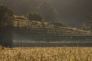 BIB: 
                            <button type="button" onclick="openModal(19376194)" class="btn btn-primary btn-sm float-right btn-popup" data-toggle="modal" data-target=".modal-high-quality">
                        <i class="fas fa-shopping-cart"></i> Add to Cart
                    </button>
                                            <button type="button" onclick="isThisMe(19376194, true)" class="btn btn-success btn-sm float-right btn-popup btn-isme hidden" data-toggle="tooltip" data-placement="bottom" title="นี่คือรูปของคุณใช่ไหม คลิกที่นี่เพื่อเอาเข้าอัลบั้ม">
                        <i class="fas fa-plus"></i> Add to album
                    </button>
                    <button type="button" onclick="isThisMe(19376194, false)" class="btn btn-warning btn-sm float-right btn-popup btn-isnotme hidden">
                        <i class="fas fa-ban"></i> Remove from album
                    </button>