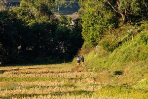 BIB: 
                            <button type="button" onclick="openModal(19376217)" class="btn btn-primary btn-sm float-right btn-popup" data-toggle="modal" data-target=".modal-high-quality">
                        <i class="fas fa-shopping-cart"></i> Add to Cart
                    </button>
                                            <button type="button" onclick="isThisMe(19376217, true)" class="btn btn-success btn-sm float-right btn-popup btn-isme hidden" data-toggle="tooltip" data-placement="bottom" title="นี่คือรูปของคุณใช่ไหม คลิกที่นี่เพื่อเอาเข้าอัลบั้ม">
                        <i class="fas fa-plus"></i> Add to album
                    </button>
                    <button type="button" onclick="isThisMe(19376217, false)" class="btn btn-warning btn-sm float-right btn-popup btn-isnotme hidden">
                        <i class="fas fa-ban"></i> Remove from album
                    </button>