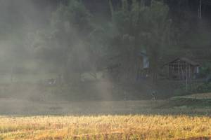 BIB: 
                            <button type="button" onclick="openModal(19376211)" class="btn btn-primary btn-sm float-right btn-popup" data-toggle="modal" data-target=".modal-high-quality">
                        <i class="fas fa-shopping-cart"></i> Add to Cart
                    </button>
                                            <button type="button" onclick="isThisMe(19376211, true)" class="btn btn-success btn-sm float-right btn-popup btn-isme hidden" data-toggle="tooltip" data-placement="bottom" title="นี่คือรูปของคุณใช่ไหม คลิกที่นี่เพื่อเอาเข้าอัลบั้ม">
                        <i class="fas fa-plus"></i> Add to album
                    </button>
                    <button type="button" onclick="isThisMe(19376211, false)" class="btn btn-warning btn-sm float-right btn-popup btn-isnotme hidden">
                        <i class="fas fa-ban"></i> Remove from album
                    </button>