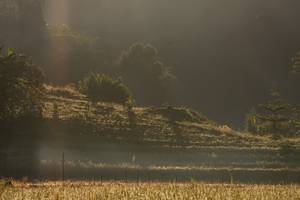 BIB: 
                            <button type="button" onclick="openModal(19376183)" class="btn btn-primary btn-sm float-right btn-popup" data-toggle="modal" data-target=".modal-high-quality">
                        <i class="fas fa-shopping-cart"></i> Add to Cart
                    </button>
                                            <button type="button" onclick="isThisMe(19376183, true)" class="btn btn-success btn-sm float-right btn-popup btn-isme hidden" data-toggle="tooltip" data-placement="bottom" title="นี่คือรูปของคุณใช่ไหม คลิกที่นี่เพื่อเอาเข้าอัลบั้ม">
                        <i class="fas fa-plus"></i> Add to album
                    </button>
                    <button type="button" onclick="isThisMe(19376183, false)" class="btn btn-warning btn-sm float-right btn-popup btn-isnotme hidden">
                        <i class="fas fa-ban"></i> Remove from album
                    </button>