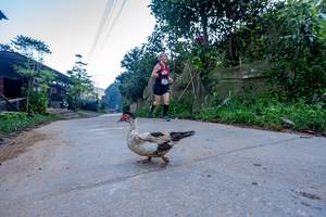 BIB: 
                            <button type="button" onclick="openModal(19376960)" class="btn btn-primary btn-sm float-right btn-popup" data-toggle="modal" data-target=".modal-high-quality">
                        <i class="fas fa-shopping-cart"></i> Add to Cart
                    </button>
                                            <button type="button" onclick="isThisMe(19376960, true)" class="btn btn-success btn-sm float-right btn-popup btn-isme hidden" data-toggle="tooltip" data-placement="bottom" title="นี่คือรูปของคุณใช่ไหม คลิกที่นี่เพื่อเอาเข้าอัลบั้ม">
                        <i class="fas fa-plus"></i> Add to album
                    </button>
                    <button type="button" onclick="isThisMe(19376960, false)" class="btn btn-warning btn-sm float-right btn-popup btn-isnotme hidden">
                        <i class="fas fa-ban"></i> Remove from album
                    </button>