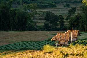 BIB: 
                            <button type="button" onclick="openModal(19376152)" class="btn btn-primary btn-sm float-right btn-popup" data-toggle="modal" data-target=".modal-high-quality">
                        <i class="fas fa-shopping-cart"></i> Add to Cart
                    </button>
                                            <button type="button" onclick="isThisMe(19376152, true)" class="btn btn-success btn-sm float-right btn-popup btn-isme hidden" data-toggle="tooltip" data-placement="bottom" title="นี่คือรูปของคุณใช่ไหม คลิกที่นี่เพื่อเอาเข้าอัลบั้ม">
                        <i class="fas fa-plus"></i> Add to album
                    </button>
                    <button type="button" onclick="isThisMe(19376152, false)" class="btn btn-warning btn-sm float-right btn-popup btn-isnotme hidden">
                        <i class="fas fa-ban"></i> Remove from album
                    </button>