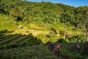 BIB: 
                            <button type="button" onclick="openModal(19377074)" class="btn btn-primary btn-sm float-right btn-popup" data-toggle="modal" data-target=".modal-high-quality">
                        <i class="fas fa-shopping-cart"></i> Add to Cart
                    </button>
                                            <button type="button" onclick="isThisMe(19377074, true)" class="btn btn-success btn-sm float-right btn-popup btn-isme hidden" data-toggle="tooltip" data-placement="bottom" title="นี่คือรูปของคุณใช่ไหม คลิกที่นี่เพื่อเอาเข้าอัลบั้ม">
                        <i class="fas fa-plus"></i> Add to album
                    </button>
                    <button type="button" onclick="isThisMe(19377074, false)" class="btn btn-warning btn-sm float-right btn-popup btn-isnotme hidden">
                        <i class="fas fa-ban"></i> Remove from album
                    </button>