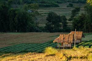 BIB: 
                            <button type="button" onclick="openModal(19376151)" class="btn btn-primary btn-sm float-right btn-popup" data-toggle="modal" data-target=".modal-high-quality">
                        <i class="fas fa-shopping-cart"></i> Add to Cart
                    </button>
                                            <button type="button" onclick="isThisMe(19376151, true)" class="btn btn-success btn-sm float-right btn-popup btn-isme hidden" data-toggle="tooltip" data-placement="bottom" title="นี่คือรูปของคุณใช่ไหม คลิกที่นี่เพื่อเอาเข้าอัลบั้ม">
                        <i class="fas fa-plus"></i> Add to album
                    </button>
                    <button type="button" onclick="isThisMe(19376151, false)" class="btn btn-warning btn-sm float-right btn-popup btn-isnotme hidden">
                        <i class="fas fa-ban"></i> Remove from album
                    </button>