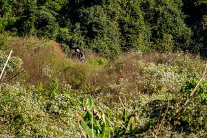 BIB: 
                            <button type="button" onclick="openModal(19376345)" class="btn btn-primary btn-sm float-right btn-popup" data-toggle="modal" data-target=".modal-high-quality">
                        <i class="fas fa-shopping-cart"></i> Add to Cart
                    </button>
                                            <button type="button" onclick="isThisMe(19376345, true)" class="btn btn-success btn-sm float-right btn-popup btn-isme hidden" data-toggle="tooltip" data-placement="bottom" title="นี่คือรูปของคุณใช่ไหม คลิกที่นี่เพื่อเอาเข้าอัลบั้ม">
                        <i class="fas fa-plus"></i> Add to album
                    </button>
                    <button type="button" onclick="isThisMe(19376345, false)" class="btn btn-warning btn-sm float-right btn-popup btn-isnotme hidden">
                        <i class="fas fa-ban"></i> Remove from album
                    </button>