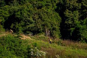 BIB: 
                            <button type="button" onclick="openModal(19376336)" class="btn btn-primary btn-sm float-right btn-popup" data-toggle="modal" data-target=".modal-high-quality">
                        <i class="fas fa-shopping-cart"></i> Add to Cart
                    </button>
                                            <button type="button" onclick="isThisMe(19376336, true)" class="btn btn-success btn-sm float-right btn-popup btn-isme hidden" data-toggle="tooltip" data-placement="bottom" title="นี่คือรูปของคุณใช่ไหม คลิกที่นี่เพื่อเอาเข้าอัลบั้ม">
                        <i class="fas fa-plus"></i> Add to album
                    </button>
                    <button type="button" onclick="isThisMe(19376336, false)" class="btn btn-warning btn-sm float-right btn-popup btn-isnotme hidden">
                        <i class="fas fa-ban"></i> Remove from album
                    </button>