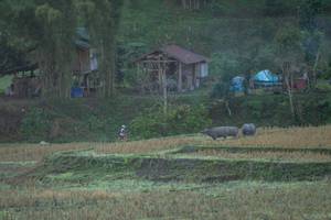 BIB: 
                            <button type="button" onclick="openModal(19376154)" class="btn btn-primary btn-sm float-right btn-popup" data-toggle="modal" data-target=".modal-high-quality">
                        <i class="fas fa-shopping-cart"></i> Add to Cart
                    </button>
                                            <button type="button" onclick="isThisMe(19376154, true)" class="btn btn-success btn-sm float-right btn-popup btn-isme hidden" data-toggle="tooltip" data-placement="bottom" title="นี่คือรูปของคุณใช่ไหม คลิกที่นี่เพื่อเอาเข้าอัลบั้ม">
                        <i class="fas fa-plus"></i> Add to album
                    </button>
                    <button type="button" onclick="isThisMe(19376154, false)" class="btn btn-warning btn-sm float-right btn-popup btn-isnotme hidden">
                        <i class="fas fa-ban"></i> Remove from album
                    </button>