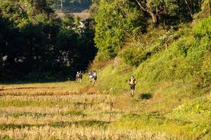 BIB: 
                            <button type="button" onclick="openModal(19376215)" class="btn btn-primary btn-sm float-right btn-popup" data-toggle="modal" data-target=".modal-high-quality">
                        <i class="fas fa-shopping-cart"></i> Add to Cart
                    </button>
                                            <button type="button" onclick="isThisMe(19376215, true)" class="btn btn-success btn-sm float-right btn-popup btn-isme hidden" data-toggle="tooltip" data-placement="bottom" title="นี่คือรูปของคุณใช่ไหม คลิกที่นี่เพื่อเอาเข้าอัลบั้ม">
                        <i class="fas fa-plus"></i> Add to album
                    </button>
                    <button type="button" onclick="isThisMe(19376215, false)" class="btn btn-warning btn-sm float-right btn-popup btn-isnotme hidden">
                        <i class="fas fa-ban"></i> Remove from album
                    </button>