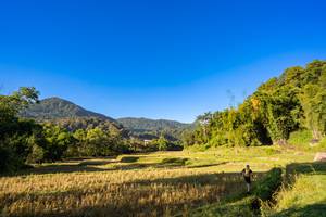 BIB: 
                            <button type="button" onclick="openModal(19376900)" class="btn btn-primary btn-sm float-right btn-popup" data-toggle="modal" data-target=".modal-high-quality">
                        <i class="fas fa-shopping-cart"></i> Add to Cart
                    </button>
                                            <button type="button" onclick="isThisMe(19376900, true)" class="btn btn-success btn-sm float-right btn-popup btn-isme hidden" data-toggle="tooltip" data-placement="bottom" title="นี่คือรูปของคุณใช่ไหม คลิกที่นี่เพื่อเอาเข้าอัลบั้ม">
                        <i class="fas fa-plus"></i> Add to album
                    </button>
                    <button type="button" onclick="isThisMe(19376900, false)" class="btn btn-warning btn-sm float-right btn-popup btn-isnotme hidden">
                        <i class="fas fa-ban"></i> Remove from album
                    </button>