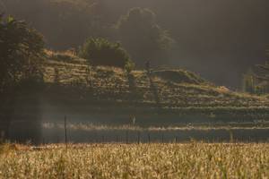 BIB: 
                            <button type="button" onclick="openModal(19376193)" class="btn btn-primary btn-sm float-right btn-popup" data-toggle="modal" data-target=".modal-high-quality">
                        <i class="fas fa-shopping-cart"></i> Add to Cart
                    </button>
                                            <button type="button" onclick="isThisMe(19376193, true)" class="btn btn-success btn-sm float-right btn-popup btn-isme hidden" data-toggle="tooltip" data-placement="bottom" title="นี่คือรูปของคุณใช่ไหม คลิกที่นี่เพื่อเอาเข้าอัลบั้ม">
                        <i class="fas fa-plus"></i> Add to album
                    </button>
                    <button type="button" onclick="isThisMe(19376193, false)" class="btn btn-warning btn-sm float-right btn-popup btn-isnotme hidden">
                        <i class="fas fa-ban"></i> Remove from album
                    </button>