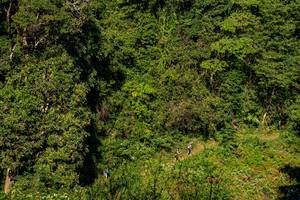 BIB: 
                            <button type="button" onclick="openModal(19376305)" class="btn btn-primary btn-sm float-right btn-popup" data-toggle="modal" data-target=".modal-high-quality">
                        <i class="fas fa-shopping-cart"></i> Add to Cart
                    </button>
                                            <button type="button" onclick="isThisMe(19376305, true)" class="btn btn-success btn-sm float-right btn-popup btn-isme hidden" data-toggle="tooltip" data-placement="bottom" title="นี่คือรูปของคุณใช่ไหม คลิกที่นี่เพื่อเอาเข้าอัลบั้ม">
                        <i class="fas fa-plus"></i> Add to album
                    </button>
                    <button type="button" onclick="isThisMe(19376305, false)" class="btn btn-warning btn-sm float-right btn-popup btn-isnotme hidden">
                        <i class="fas fa-ban"></i> Remove from album
                    </button>