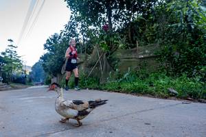 BIB: 
                            <button type="button" onclick="openModal(19376958)" class="btn btn-primary btn-sm float-right btn-popup" data-toggle="modal" data-target=".modal-high-quality">
                        <i class="fas fa-shopping-cart"></i> Add to Cart
                    </button>
                                            <button type="button" onclick="isThisMe(19376958, true)" class="btn btn-success btn-sm float-right btn-popup btn-isme hidden" data-toggle="tooltip" data-placement="bottom" title="นี่คือรูปของคุณใช่ไหม คลิกที่นี่เพื่อเอาเข้าอัลบั้ม">
                        <i class="fas fa-plus"></i> Add to album
                    </button>
                    <button type="button" onclick="isThisMe(19376958, false)" class="btn btn-warning btn-sm float-right btn-popup btn-isnotme hidden">
                        <i class="fas fa-ban"></i> Remove from album
                    </button>