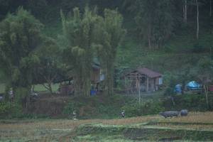 BIB: 
                            <button type="button" onclick="openModal(19376159)" class="btn btn-primary btn-sm float-right btn-popup" data-toggle="modal" data-target=".modal-high-quality">
                        <i class="fas fa-shopping-cart"></i> Add to Cart
                    </button>
                                            <button type="button" onclick="isThisMe(19376159, true)" class="btn btn-success btn-sm float-right btn-popup btn-isme hidden" data-toggle="tooltip" data-placement="bottom" title="นี่คือรูปของคุณใช่ไหม คลิกที่นี่เพื่อเอาเข้าอัลบั้ม">
                        <i class="fas fa-plus"></i> Add to album
                    </button>
                    <button type="button" onclick="isThisMe(19376159, false)" class="btn btn-warning btn-sm float-right btn-popup btn-isnotme hidden">
                        <i class="fas fa-ban"></i> Remove from album
                    </button>