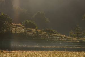 BIB: 
                            <button type="button" onclick="openModal(19376177)" class="btn btn-primary btn-sm float-right btn-popup" data-toggle="modal" data-target=".modal-high-quality">
                        <i class="fas fa-shopping-cart"></i> Add to Cart
                    </button>
                                            <button type="button" onclick="isThisMe(19376177, true)" class="btn btn-success btn-sm float-right btn-popup btn-isme hidden" data-toggle="tooltip" data-placement="bottom" title="นี่คือรูปของคุณใช่ไหม คลิกที่นี่เพื่อเอาเข้าอัลบั้ม">
                        <i class="fas fa-plus"></i> Add to album
                    </button>
                    <button type="button" onclick="isThisMe(19376177, false)" class="btn btn-warning btn-sm float-right btn-popup btn-isnotme hidden">
                        <i class="fas fa-ban"></i> Remove from album
                    </button>