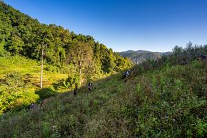 BIB: 
                            <button type="button" onclick="openModal(19377083)" class="btn btn-primary btn-sm float-right btn-popup" data-toggle="modal" data-target=".modal-high-quality">
                        <i class="fas fa-shopping-cart"></i> Add to Cart
                    </button>
                                            <button type="button" onclick="isThisMe(19377083, true)" class="btn btn-success btn-sm float-right btn-popup btn-isme hidden" data-toggle="tooltip" data-placement="bottom" title="นี่คือรูปของคุณใช่ไหม คลิกที่นี่เพื่อเอาเข้าอัลบั้ม">
                        <i class="fas fa-plus"></i> Add to album
                    </button>
                    <button type="button" onclick="isThisMe(19377083, false)" class="btn btn-warning btn-sm float-right btn-popup btn-isnotme hidden">
                        <i class="fas fa-ban"></i> Remove from album
                    </button>