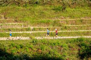 BIB: 
                            <button type="button" onclick="openModal(19376353)" class="btn btn-primary btn-sm float-right btn-popup" data-toggle="modal" data-target=".modal-high-quality">
                        <i class="fas fa-shopping-cart"></i> Add to Cart
                    </button>
                                            <button type="button" onclick="isThisMe(19376353, true)" class="btn btn-success btn-sm float-right btn-popup btn-isme hidden" data-toggle="tooltip" data-placement="bottom" title="นี่คือรูปของคุณใช่ไหม คลิกที่นี่เพื่อเอาเข้าอัลบั้ม">
                        <i class="fas fa-plus"></i> Add to album
                    </button>
                    <button type="button" onclick="isThisMe(19376353, false)" class="btn btn-warning btn-sm float-right btn-popup btn-isnotme hidden">
                        <i class="fas fa-ban"></i> Remove from album
                    </button>