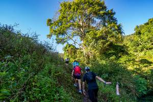 BIB: 
                            <button type="button" onclick="openModal(19377044)" class="btn btn-primary btn-sm float-right btn-popup" data-toggle="modal" data-target=".modal-high-quality">
                        <i class="fas fa-shopping-cart"></i> Add to Cart
                    </button>
                                            <button type="button" onclick="isThisMe(19377044, true)" class="btn btn-success btn-sm float-right btn-popup btn-isme hidden" data-toggle="tooltip" data-placement="bottom" title="นี่คือรูปของคุณใช่ไหม คลิกที่นี่เพื่อเอาเข้าอัลบั้ม">
                        <i class="fas fa-plus"></i> Add to album
                    </button>
                    <button type="button" onclick="isThisMe(19377044, false)" class="btn btn-warning btn-sm float-right btn-popup btn-isnotme hidden">
                        <i class="fas fa-ban"></i> Remove from album
                    </button>