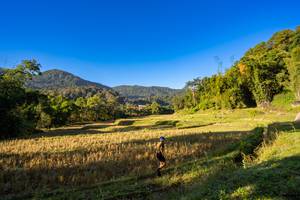 BIB: 
                            <button type="button" onclick="openModal(19376899)" class="btn btn-primary btn-sm float-right btn-popup" data-toggle="modal" data-target=".modal-high-quality">
                        <i class="fas fa-shopping-cart"></i> Add to Cart
                    </button>
                                            <button type="button" onclick="isThisMe(19376899, true)" class="btn btn-success btn-sm float-right btn-popup btn-isme hidden" data-toggle="tooltip" data-placement="bottom" title="นี่คือรูปของคุณใช่ไหม คลิกที่นี่เพื่อเอาเข้าอัลบั้ม">
                        <i class="fas fa-plus"></i> Add to album
                    </button>
                    <button type="button" onclick="isThisMe(19376899, false)" class="btn btn-warning btn-sm float-right btn-popup btn-isnotme hidden">
                        <i class="fas fa-ban"></i> Remove from album
                    </button>