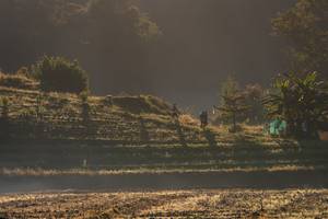 BIB: 
                            <button type="button" onclick="openModal(19376203)" class="btn btn-primary btn-sm float-right btn-popup" data-toggle="modal" data-target=".modal-high-quality">
                        <i class="fas fa-shopping-cart"></i> Add to Cart
                    </button>
                                            <button type="button" onclick="isThisMe(19376203, true)" class="btn btn-success btn-sm float-right btn-popup btn-isme hidden" data-toggle="tooltip" data-placement="bottom" title="นี่คือรูปของคุณใช่ไหม คลิกที่นี่เพื่อเอาเข้าอัลบั้ม">
                        <i class="fas fa-plus"></i> Add to album
                    </button>
                    <button type="button" onclick="isThisMe(19376203, false)" class="btn btn-warning btn-sm float-right btn-popup btn-isnotme hidden">
                        <i class="fas fa-ban"></i> Remove from album
                    </button>