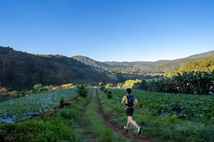 BIB: 
                            <button type="button" onclick="openModal(19376876)" class="btn btn-primary btn-sm float-right btn-popup" data-toggle="modal" data-target=".modal-high-quality">
                        <i class="fas fa-shopping-cart"></i> Add to Cart
                    </button>
                                            <button type="button" onclick="isThisMe(19376876, true)" class="btn btn-success btn-sm float-right btn-popup btn-isme hidden" data-toggle="tooltip" data-placement="bottom" title="นี่คือรูปของคุณใช่ไหม คลิกที่นี่เพื่อเอาเข้าอัลบั้ม">
                        <i class="fas fa-plus"></i> Add to album
                    </button>
                    <button type="button" onclick="isThisMe(19376876, false)" class="btn btn-warning btn-sm float-right btn-popup btn-isnotme hidden">
                        <i class="fas fa-ban"></i> Remove from album
                    </button>