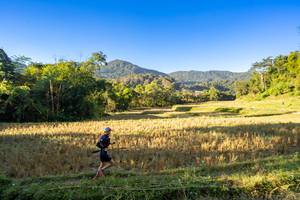 BIB: 
                            <button type="button" onclick="openModal(19376908)" class="btn btn-primary btn-sm float-right btn-popup" data-toggle="modal" data-target=".modal-high-quality">
                        <i class="fas fa-shopping-cart"></i> Add to Cart
                    </button>
                                            <button type="button" onclick="isThisMe(19376908, true)" class="btn btn-success btn-sm float-right btn-popup btn-isme hidden" data-toggle="tooltip" data-placement="bottom" title="นี่คือรูปของคุณใช่ไหม คลิกที่นี่เพื่อเอาเข้าอัลบั้ม">
                        <i class="fas fa-plus"></i> Add to album
                    </button>
                    <button type="button" onclick="isThisMe(19376908, false)" class="btn btn-warning btn-sm float-right btn-popup btn-isnotme hidden">
                        <i class="fas fa-ban"></i> Remove from album
                    </button>