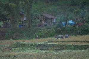 BIB: 
                            <button type="button" onclick="openModal(19376156)" class="btn btn-primary btn-sm float-right btn-popup" data-toggle="modal" data-target=".modal-high-quality">
                        <i class="fas fa-shopping-cart"></i> Add to Cart
                    </button>
                                            <button type="button" onclick="isThisMe(19376156, true)" class="btn btn-success btn-sm float-right btn-popup btn-isme hidden" data-toggle="tooltip" data-placement="bottom" title="นี่คือรูปของคุณใช่ไหม คลิกที่นี่เพื่อเอาเข้าอัลบั้ม">
                        <i class="fas fa-plus"></i> Add to album
                    </button>
                    <button type="button" onclick="isThisMe(19376156, false)" class="btn btn-warning btn-sm float-right btn-popup btn-isnotme hidden">
                        <i class="fas fa-ban"></i> Remove from album
                    </button>