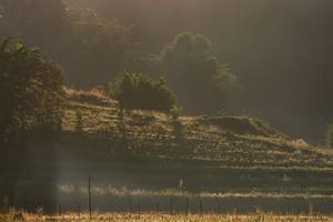 BIB: 
                            <button type="button" onclick="openModal(19376198)" class="btn btn-primary btn-sm float-right btn-popup" data-toggle="modal" data-target=".modal-high-quality">
                        <i class="fas fa-shopping-cart"></i> Add to Cart
                    </button>
                                            <button type="button" onclick="isThisMe(19376198, true)" class="btn btn-success btn-sm float-right btn-popup btn-isme hidden" data-toggle="tooltip" data-placement="bottom" title="นี่คือรูปของคุณใช่ไหม คลิกที่นี่เพื่อเอาเข้าอัลบั้ม">
                        <i class="fas fa-plus"></i> Add to album
                    </button>
                    <button type="button" onclick="isThisMe(19376198, false)" class="btn btn-warning btn-sm float-right btn-popup btn-isnotme hidden">
                        <i class="fas fa-ban"></i> Remove from album
                    </button>