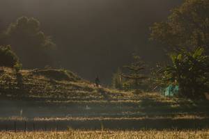 BIB: 
                            <button type="button" onclick="openModal(19376187)" class="btn btn-primary btn-sm float-right btn-popup" data-toggle="modal" data-target=".modal-high-quality">
                        <i class="fas fa-shopping-cart"></i> Add to Cart
                    </button>
                                            <button type="button" onclick="isThisMe(19376187, true)" class="btn btn-success btn-sm float-right btn-popup btn-isme hidden" data-toggle="tooltip" data-placement="bottom" title="นี่คือรูปของคุณใช่ไหม คลิกที่นี่เพื่อเอาเข้าอัลบั้ม">
                        <i class="fas fa-plus"></i> Add to album
                    </button>
                    <button type="button" onclick="isThisMe(19376187, false)" class="btn btn-warning btn-sm float-right btn-popup btn-isnotme hidden">
                        <i class="fas fa-ban"></i> Remove from album
                    </button>