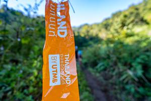 BIB: 
                            <button type="button" onclick="openModal(19377042)" class="btn btn-primary btn-sm float-right btn-popup" data-toggle="modal" data-target=".modal-high-quality">
                        <i class="fas fa-shopping-cart"></i> Add to Cart
                    </button>
                                            <button type="button" onclick="isThisMe(19377042, true)" class="btn btn-success btn-sm float-right btn-popup btn-isme hidden" data-toggle="tooltip" data-placement="bottom" title="นี่คือรูปของคุณใช่ไหม คลิกที่นี่เพื่อเอาเข้าอัลบั้ม">
                        <i class="fas fa-plus"></i> Add to album
                    </button>
                    <button type="button" onclick="isThisMe(19377042, false)" class="btn btn-warning btn-sm float-right btn-popup btn-isnotme hidden">
                        <i class="fas fa-ban"></i> Remove from album
                    </button>