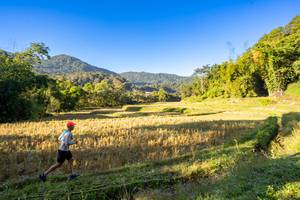 BIB: 
                            <button type="button" onclick="openModal(19376909)" class="btn btn-primary btn-sm float-right btn-popup" data-toggle="modal" data-target=".modal-high-quality">
                        <i class="fas fa-shopping-cart"></i> Add to Cart
                    </button>
                                            <button type="button" onclick="isThisMe(19376909, true)" class="btn btn-success btn-sm float-right btn-popup btn-isme hidden" data-toggle="tooltip" data-placement="bottom" title="นี่คือรูปของคุณใช่ไหม คลิกที่นี่เพื่อเอาเข้าอัลบั้ม">
                        <i class="fas fa-plus"></i> Add to album
                    </button>
                    <button type="button" onclick="isThisMe(19376909, false)" class="btn btn-warning btn-sm float-right btn-popup btn-isnotme hidden">
                        <i class="fas fa-ban"></i> Remove from album
                    </button>