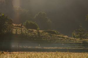 BIB: 
                            <button type="button" onclick="openModal(19376172)" class="btn btn-primary btn-sm float-right btn-popup" data-toggle="modal" data-target=".modal-high-quality">
                        <i class="fas fa-shopping-cart"></i> Add to Cart
                    </button>
                                            <button type="button" onclick="isThisMe(19376172, true)" class="btn btn-success btn-sm float-right btn-popup btn-isme hidden" data-toggle="tooltip" data-placement="bottom" title="นี่คือรูปของคุณใช่ไหม คลิกที่นี่เพื่อเอาเข้าอัลบั้ม">
                        <i class="fas fa-plus"></i> Add to album
                    </button>
                    <button type="button" onclick="isThisMe(19376172, false)" class="btn btn-warning btn-sm float-right btn-popup btn-isnotme hidden">
                        <i class="fas fa-ban"></i> Remove from album
                    </button>